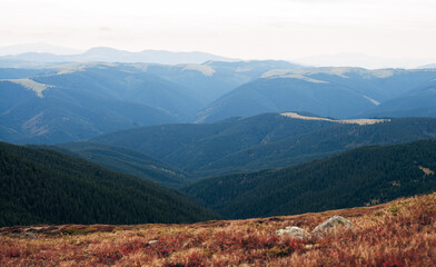 Obraz premium autumn landscape at the top of the mountain