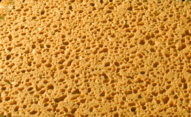 background production of yellow porous sponge