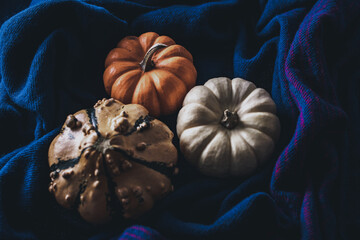 Pumpkin