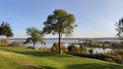 landscape with trees