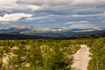 mountain road