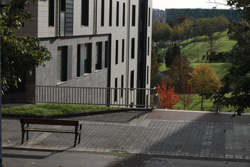 View of a forest in autumn colors