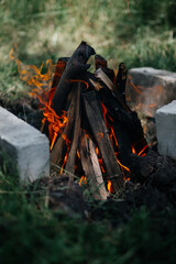 fire in the forest