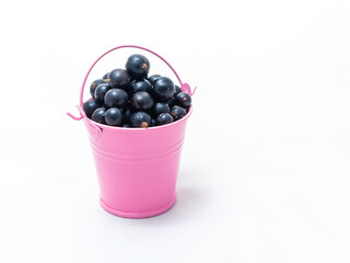 Pink bucket on a white background filled with black currants