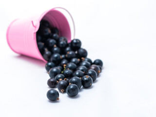 A pink bucket on a white background from which black currants are poured