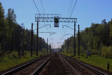 Railway tracks along the woodlands