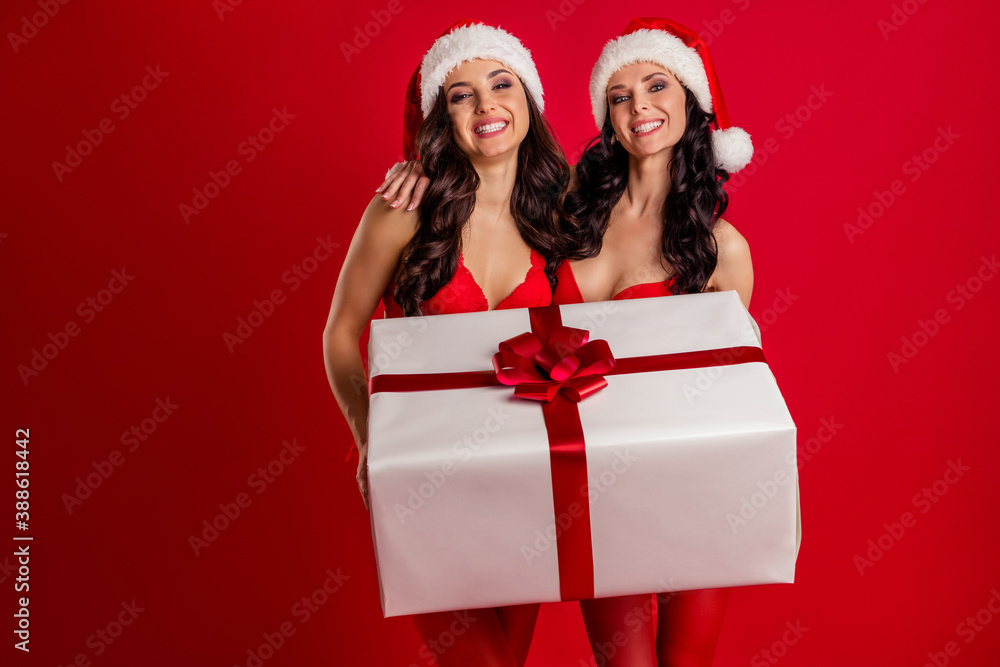 Poster Portrait of two nice-looking attractive cheerful seductive girls wearing claus hat hugging holding in hand large giftbox December isolated bright vivid shine vibrant red color background