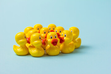 yellow ducklings in a circle on a blue background one in the center the other a team work concept