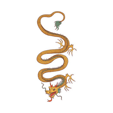 Traditional asian or chinese fantasy dragon cartoon vector illustration isolated.