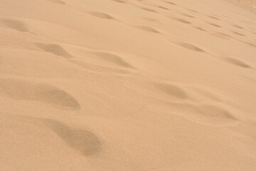 Impressions in the Sand