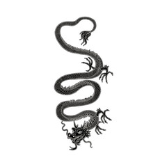 Chinese ancient dragon black monochrome vector illustration isolated on white.