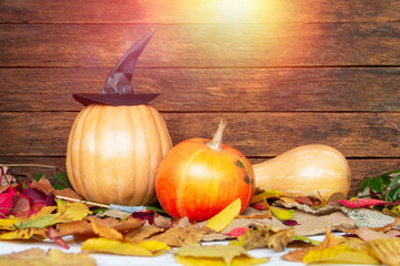 fresh halloween pumpkin, gourd, squash witch hat and bat wings candy bowl of chocolates and sweets,...