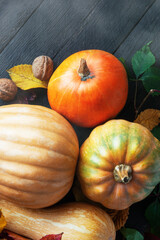 fresh pumpkins of different shapes and colors, autumn yellow leaves, table decor, traditional holiday Happy Thanksgiving or halloween day concept