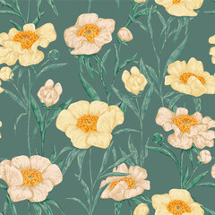 Peony Claire de Lune plants seamless pattern. Hand drawn vector illustration. Realistic botanical background. Wildflowers retro sketch. Colored vintage design, print, fabric, textile, wrap, wallpaper.