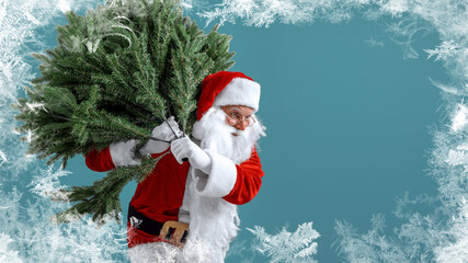 Santa man carrying artificial christmas tree. Christmas, new year, holidays. Bearded man dressed in festive costume of Santa Claus carries Christmas tree on blue background.