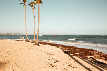 Caribbean landscape: morning on the Dominican coast of the Atlantic Ocean