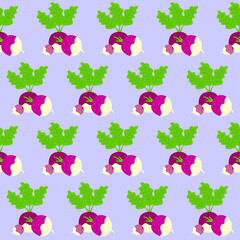 Pattern fresh young purple turnip for salad