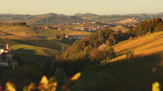 Barolo village and castle among hills with vineyards with autumn colors at sunset near Alba, Langhe, Piedmont, Italy. Pan