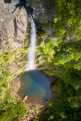 Aerial, vertical view of Risco waterfall, falling to lake on the bottom of steep canyon covered in green vegetation. Nature background. Hiking on Madeira island, Portugal.