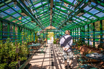 person in greenhouse