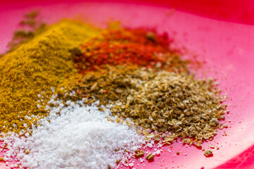 Spices - red pepper, ground coriander, salt and turmeric on a red plate, close-up