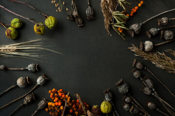 Autumn composition. Circle made of field grass, poppy heads, grass on black background. Flat lay,...
