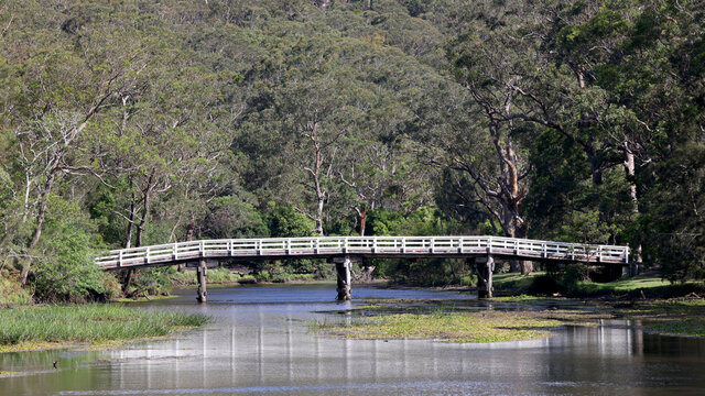 Wooden road bridge, Royal National Park NSW Australia
