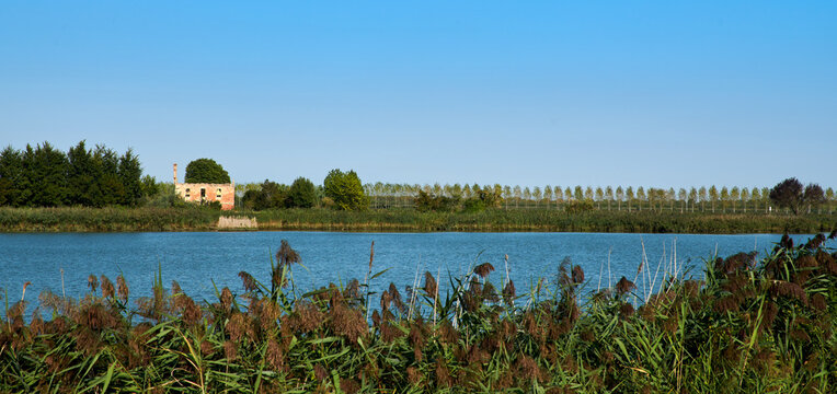 A tree in a rural house without roof, in the lagoon of Caorle, in Brussa, province of Venice