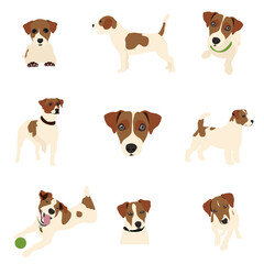 Vector illustration. The canvas depicts a dog of the Jack Russell breed in different poses. Milky colors, cute smile of a dog.