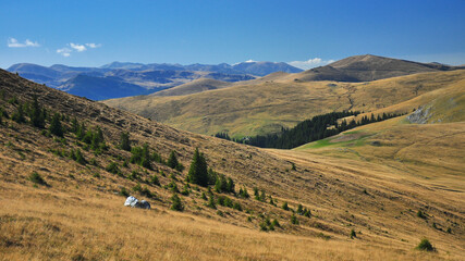 Fototapeta na wymiar Autumn landscape with the wild alpine grasslands of Capatanii Mountains . Carpathia, Romania