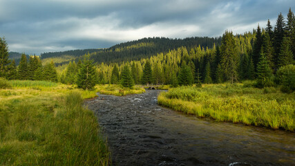 Fototapeta na wymiar Dusk panorama with Sebes river flowing through the spruce forests of Sureanu Mountains. Carpathia, Romania