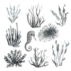 black-and-white set marine: corals, seaweed, seahorse, hand drawin illustration with textures