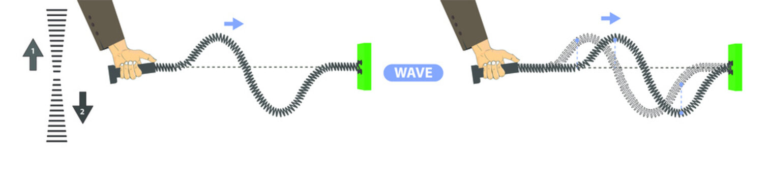 physics. spring stretched. transverse waves. longitudinal. The difference between throwing and periodic wave formation. longitudinal wave generation. periodically generated transverse waves. infograph