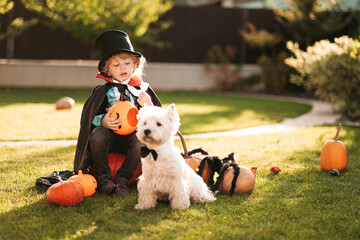 Happy Halloween. A child in a medical mask in a dracula costume sits on a pumpkin in his yard.