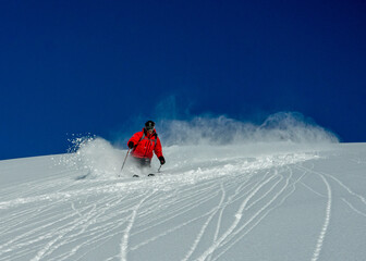 Fototapeta na wymiar A heli skiing guide skiing fresh snow