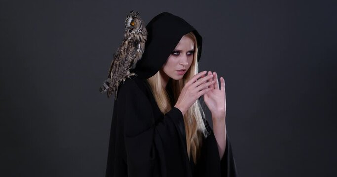 Beautiful witch with her owl familiar on grey background