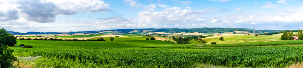 Obraz premium Panorama Landscape in summer