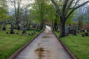 alley in the memorial park