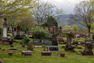 cemetery in the village