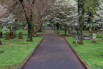 spring in the park