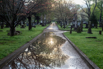 Morning in the memorial park after the rain. 
