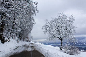 winter road into white snow covered after snowfall trees  and fields in alps mountain countryside