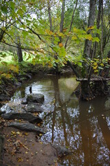 Orvault - Ville verte - La vallée du Cens