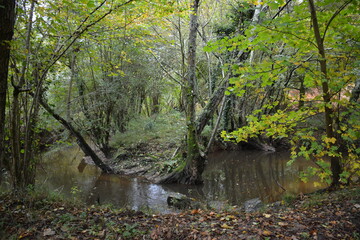 Obraz premium Orvault - Ville verte - La vallée du Cens
