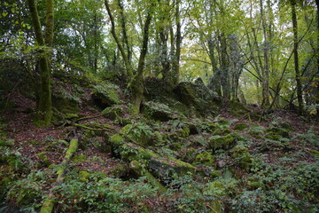 Orvault - Ville verte - La vallée du Cens