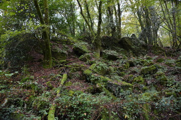 Orvault - Ville verte - La vallée du Cens