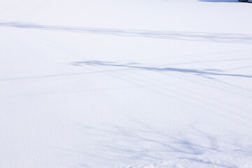 Fototapeta na wymiar 雪の降り積もる平泉町