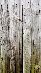 Fototapeta premium background from old boards