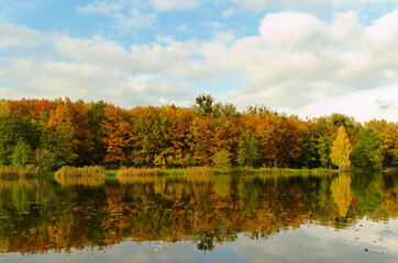 jesienny las nad jeziorem