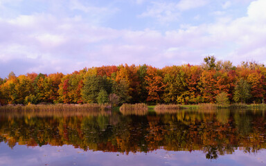 kolorowy jesienny las nad wodą